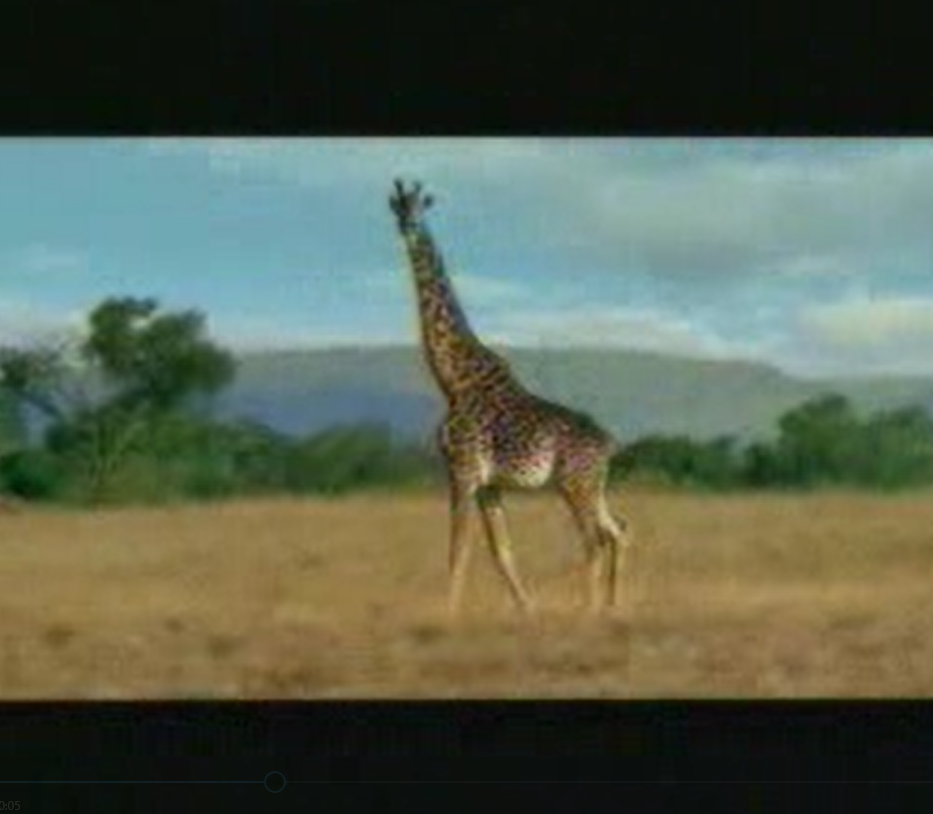 video | Bad Day in Africa